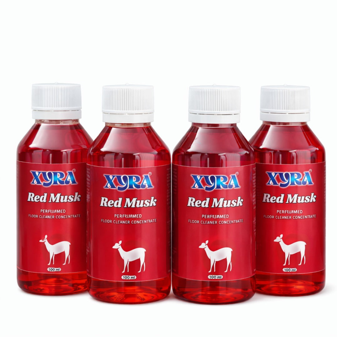 WhatsAppImage2026-04-02at3.13.20PM - xyra